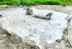 Image of মো: সেলিম  মন্ডল
